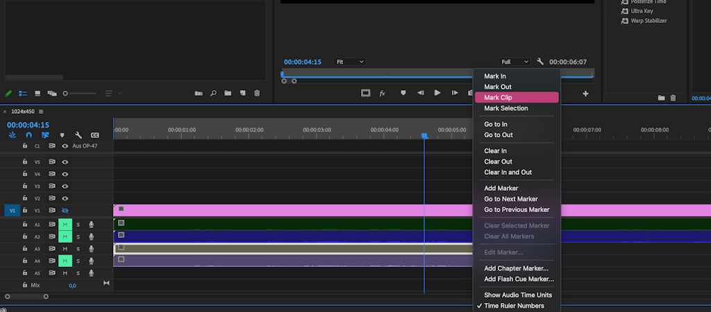 Allocate a plot for export on timeline in Premiere Pro